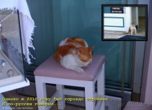 И снова Крит!