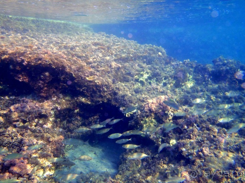 И снова Крит!