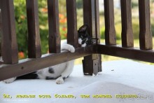 И снова Крит!