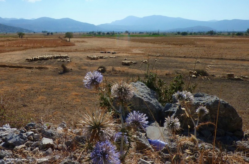 И снова Крит!