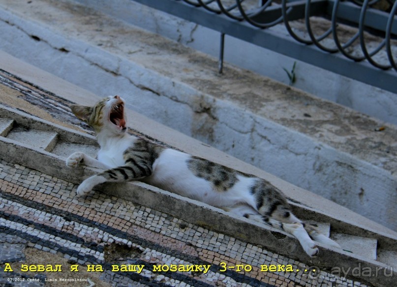 И снова Крит!