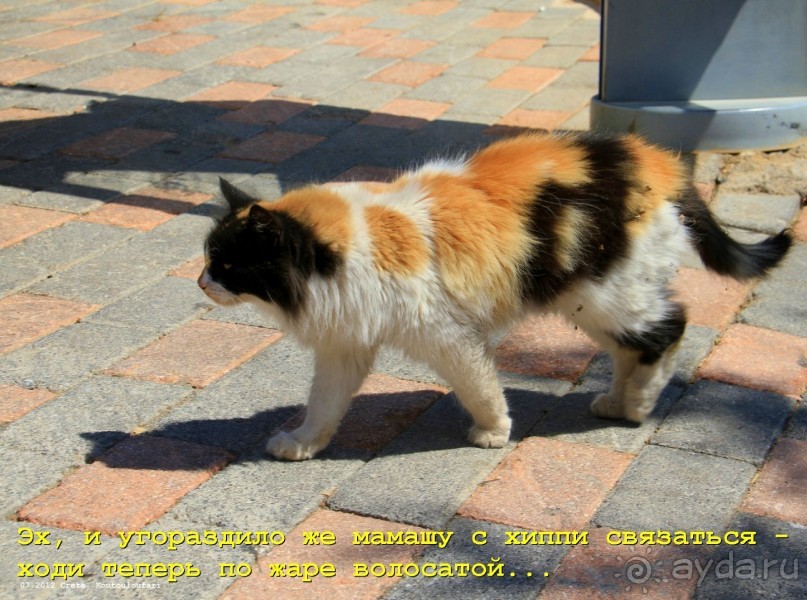 И снова Крит!