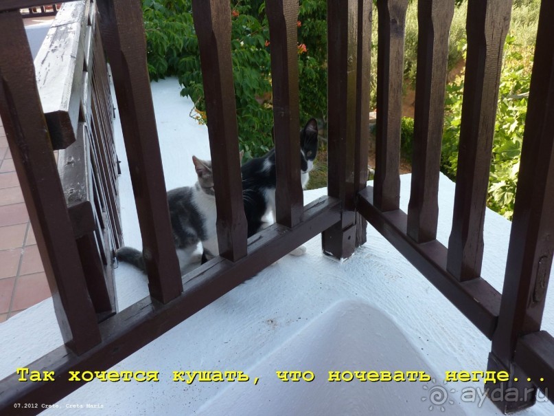 И снова Крит!