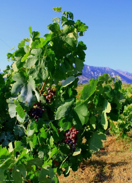 И снова Крит!