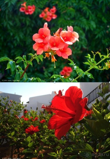 И снова Крит!