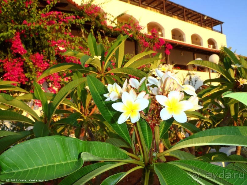 И снова Крит!