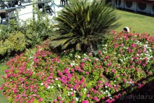 Спасибо за отдых!!!