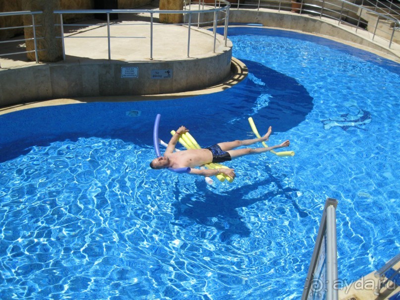 приличный бюджетный вариант