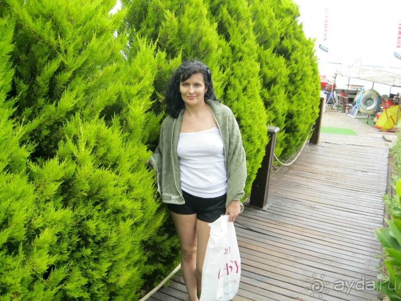 приличный бюджетный вариант