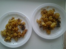 Альбом отзыва "Санаторий "Приморский", Минск. Будьте осторожны!!!"