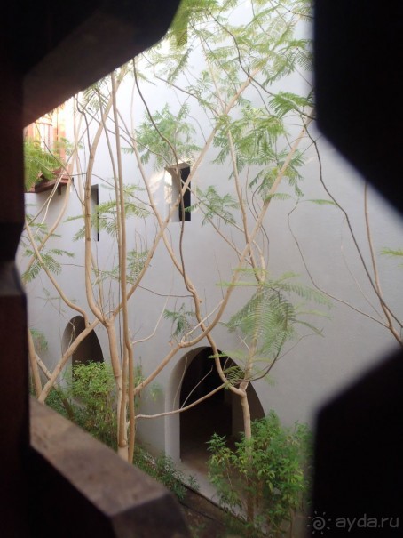 "МЕДОВЫЙ МЕСЯЦ" в Crown Plaza Oasis Port Ghalib - УДАЛСЯ!!! :)