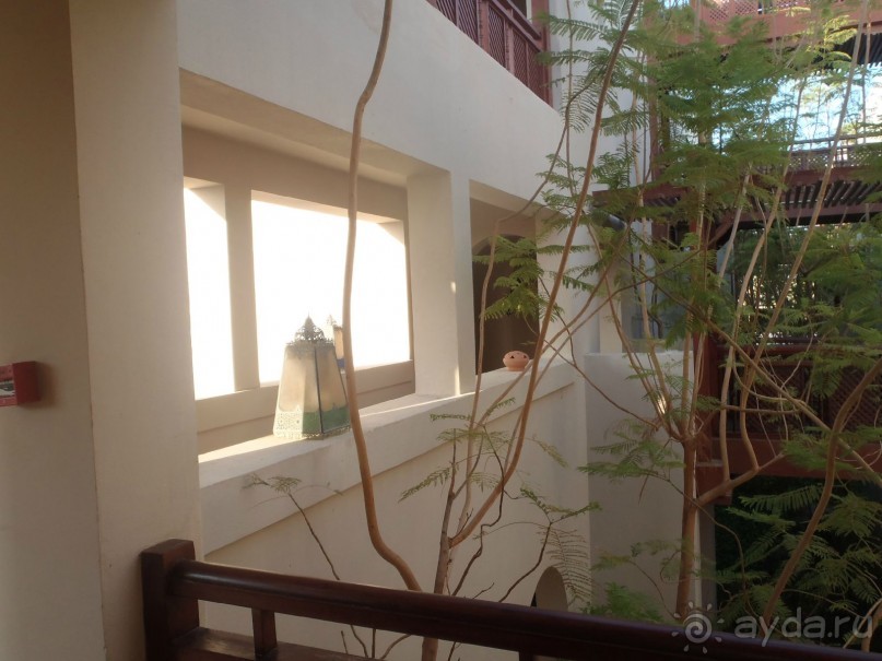 фото Pickalbatros Oasis Port Galib