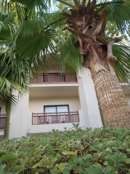 "МЕДОВЫЙ МЕСЯЦ" в Crown Plaza Oasis Port Ghalib - УДАЛСЯ!!! :)