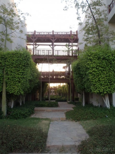 "МЕДОВЫЙ МЕСЯЦ" в Crown Plaza Oasis Port Ghalib - УДАЛСЯ!!! :)