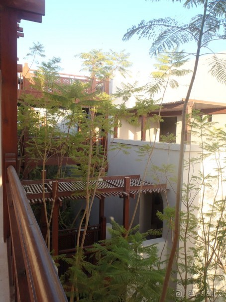 "МЕДОВЫЙ МЕСЯЦ" в Crown Plaza Oasis Port Ghalib - УДАЛСЯ!!! :)