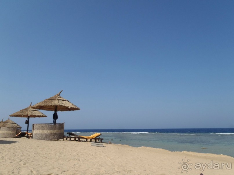 "МЕДОВЫЙ МЕСЯЦ" в Crown Plaza Oasis Port Ghalib - УДАЛСЯ!!! :)