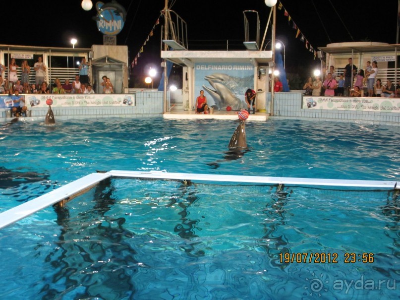 Дельфинарий в Римини.