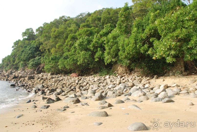 East Urban Style (Гонконг)