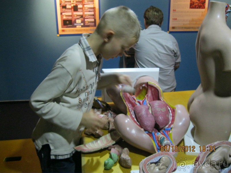 Название отеля говорит само за себя: всё и сразу, как в Вавилоне!