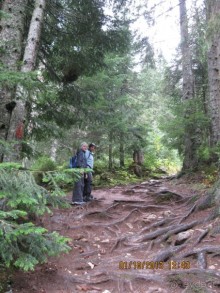 Дурмитор. Ледяная пещера. Каньон реки Тара. День третий, четвертый, пятый.