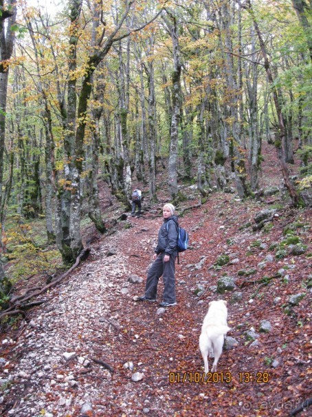 Дурмитор. Ледяная пещера. Каньон реки Тара. День третий, четвертый, пятый.