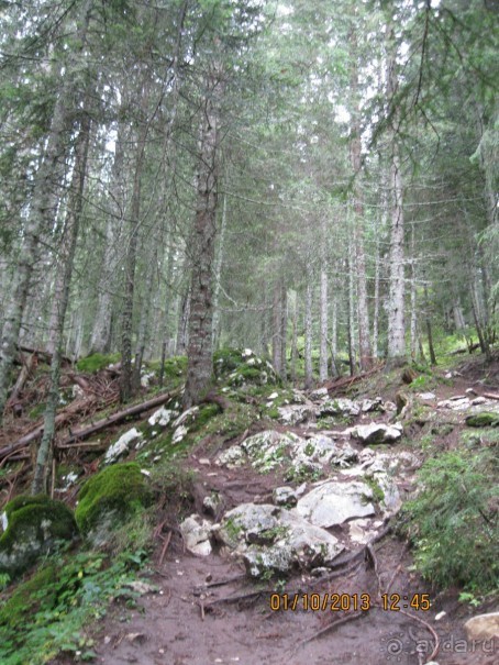 Дурмитор. Ледяная пещера. Каньон реки Тара. День третий, четвертый, пятый.