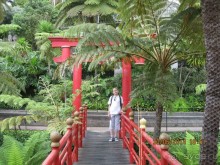 Часть 6. Изумрудные портьеры Монте.