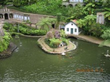 Часть 6. Изумрудные портьеры Монте.