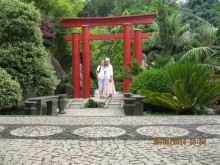 Часть 6. Изумрудные портьеры Монте.