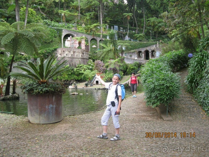 Часть 6. Изумрудные портьеры Монте.