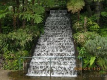 Часть 6. Изумрудные портьеры Монте.