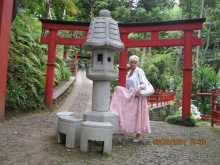 Часть 6. Изумрудные портьеры Монте.