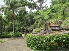 Часть 6. Изумрудные портьеры Монте.