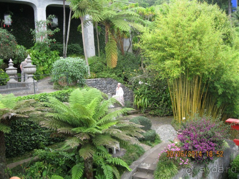 Часть 6. Изумрудные портьеры Монте.