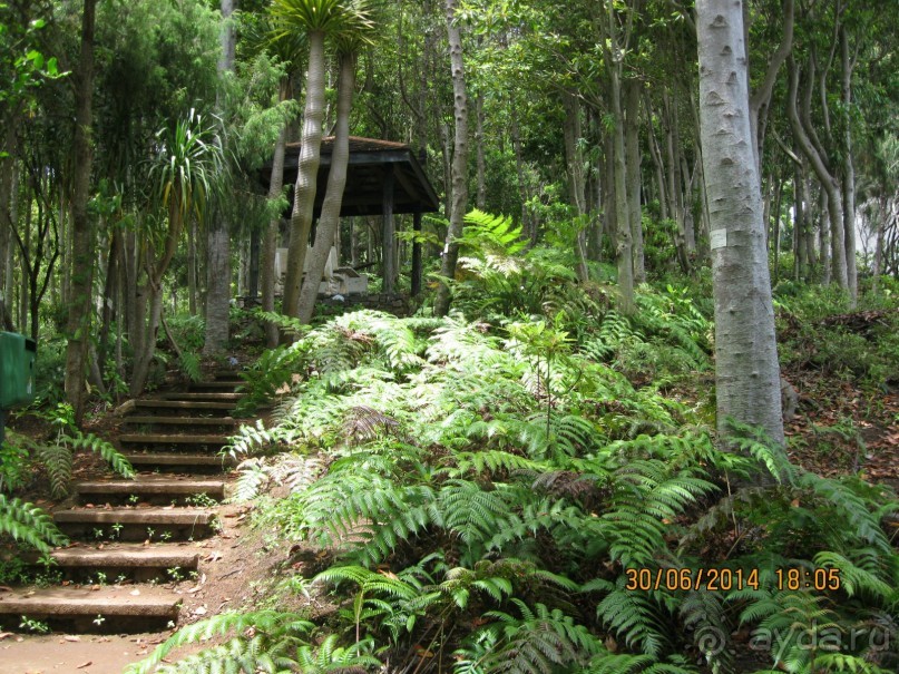 Часть 6. Изумрудные портьеры Монте.