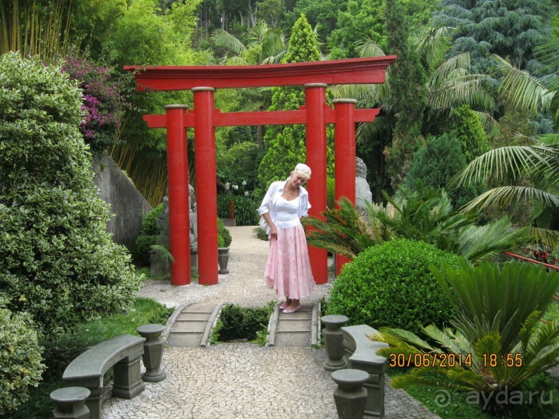 Часть 6. Изумрудные портьеры Монте.