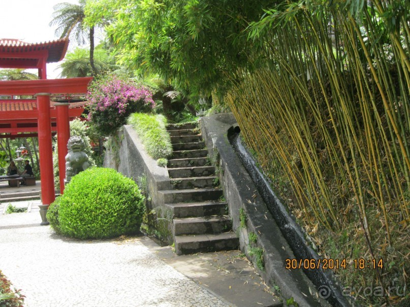 Часть 6. Изумрудные портьеры Монте.