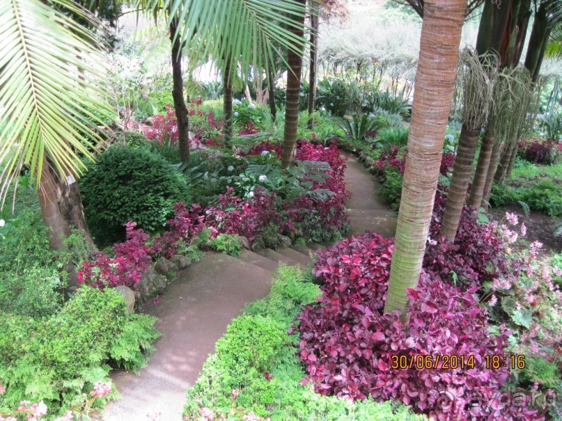 Часть 6. Изумрудные портьеры Монте.