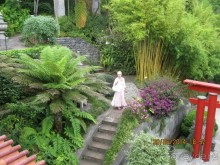 Часть 6. Изумрудные портьеры Монте.