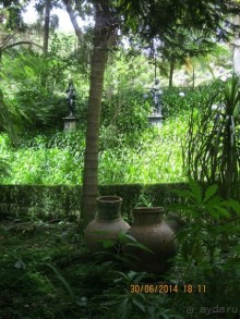 Часть 6. Изумрудные портьеры Монте.