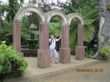 Часть 6. Изумрудные портьеры Монте.