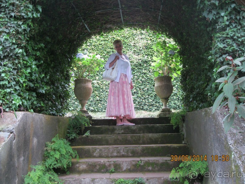 Часть 6. Изумрудные портьеры Монте.