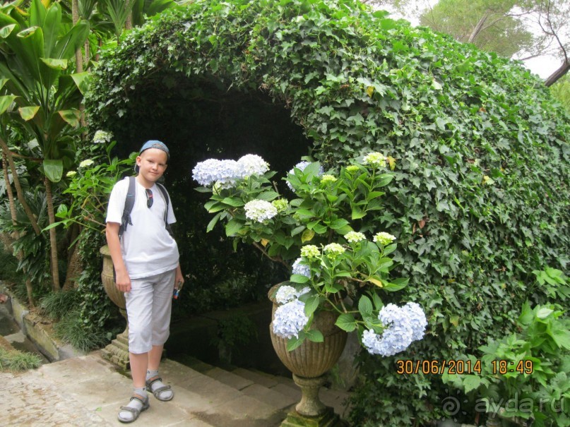 Часть 6. Изумрудные портьеры Монте.