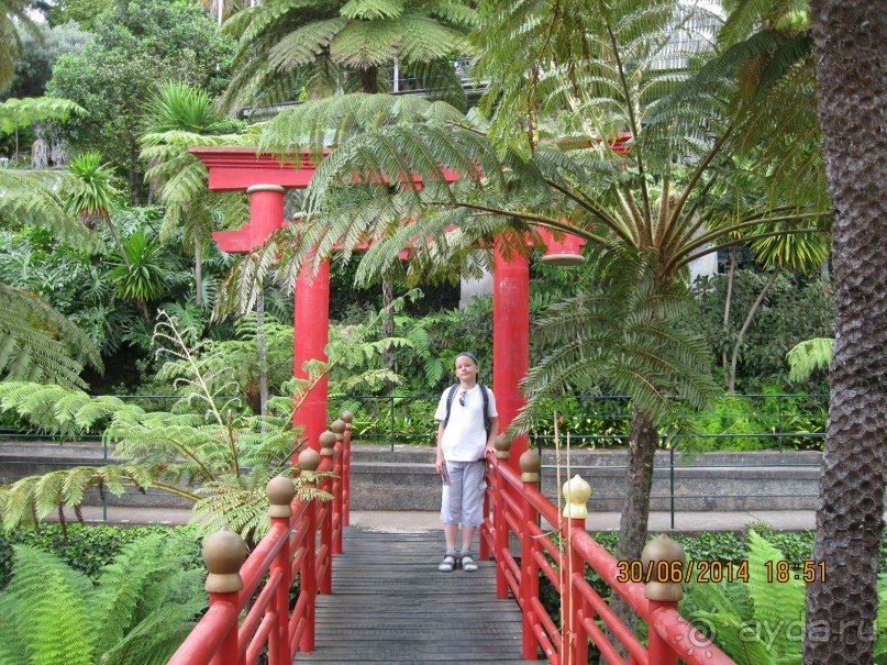 Часть 6. Изумрудные портьеры Монте.