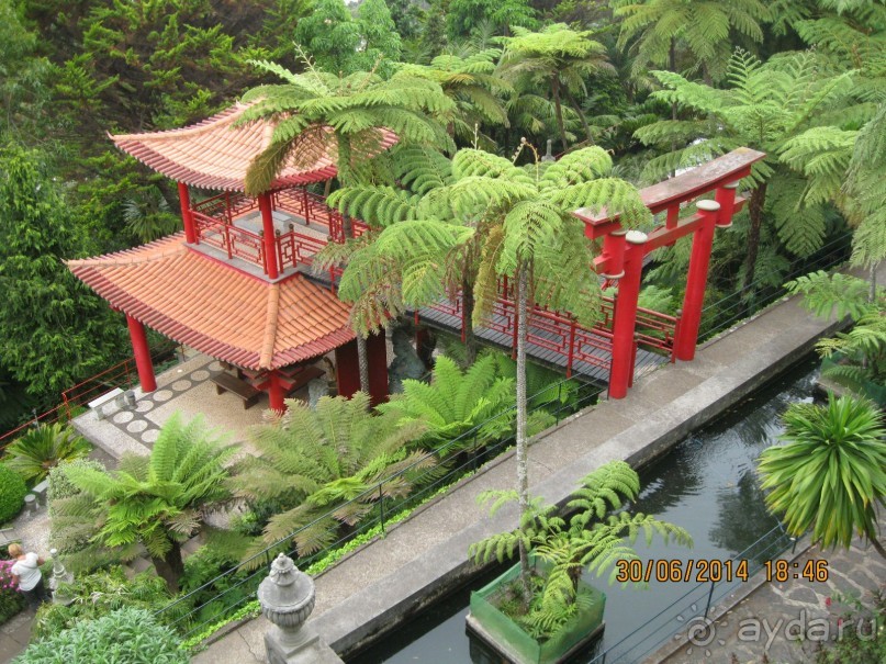 Часть 6. Изумрудные портьеры Монте.