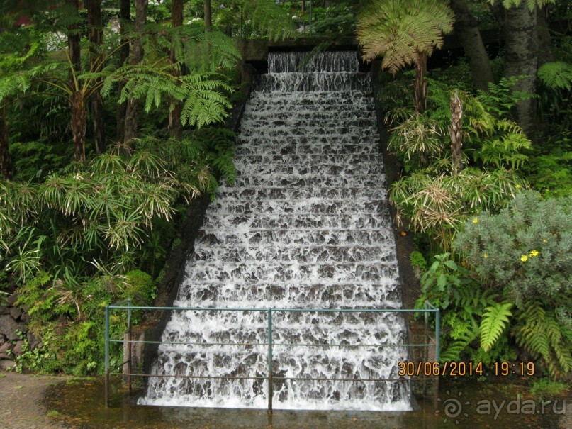 Часть 6. Изумрудные портьеры Монте.