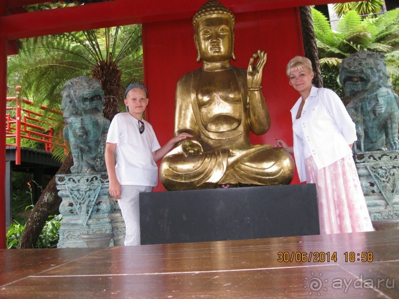 Часть 6. Изумрудные портьеры Монте.