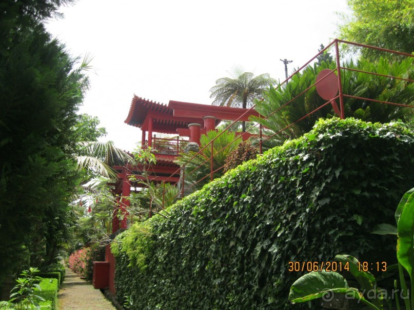 Часть 6. Изумрудные портьеры Монте.