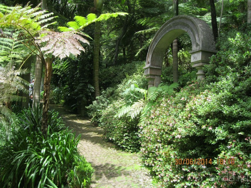 Часть 6. Изумрудные портьеры Монте.