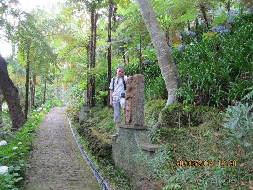 Часть 6. Изумрудные портьеры Монте.